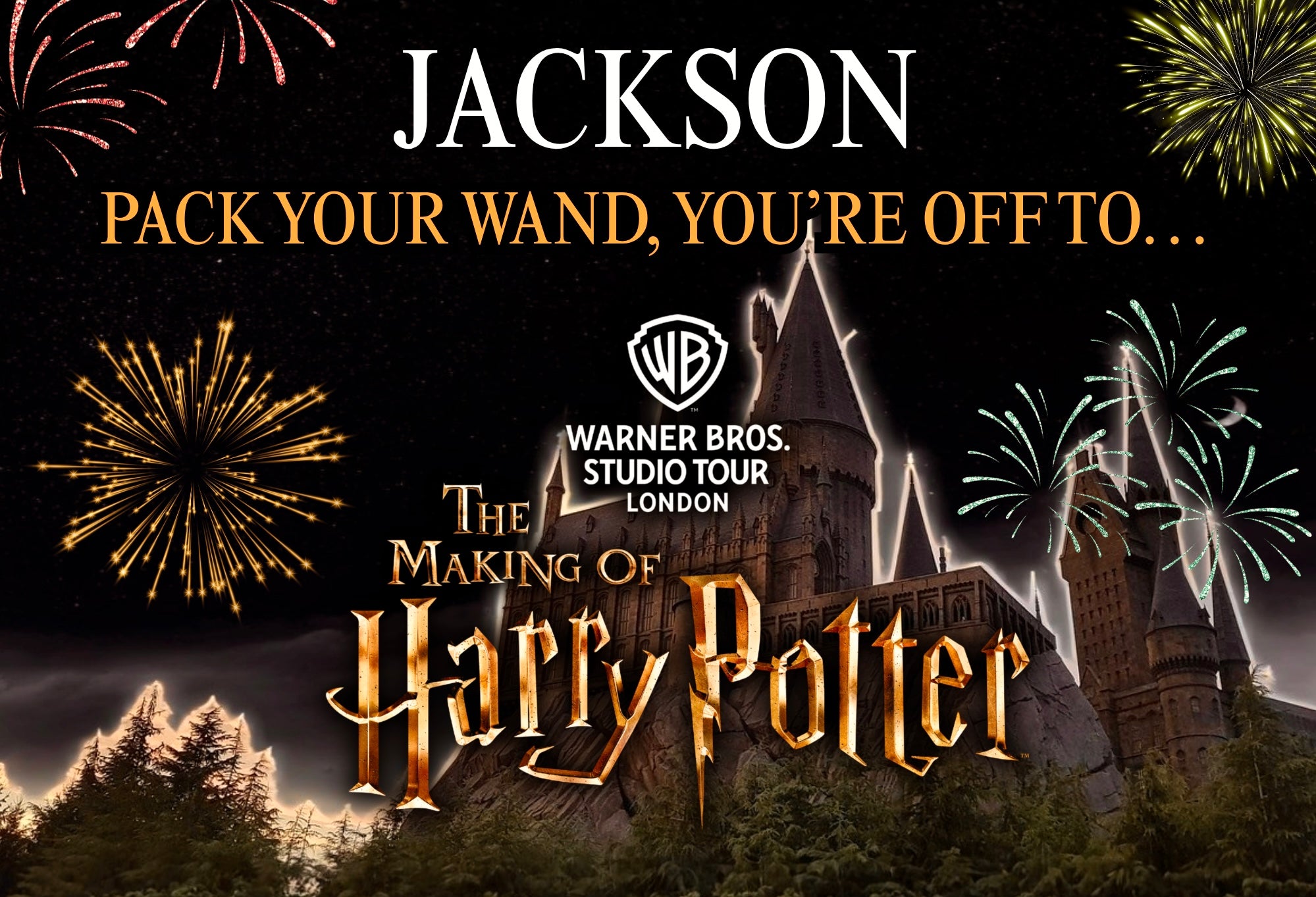 Harry Potter Studios ‘Pack Your Wand’ Suprise Gift Custom Puzzle Reveal